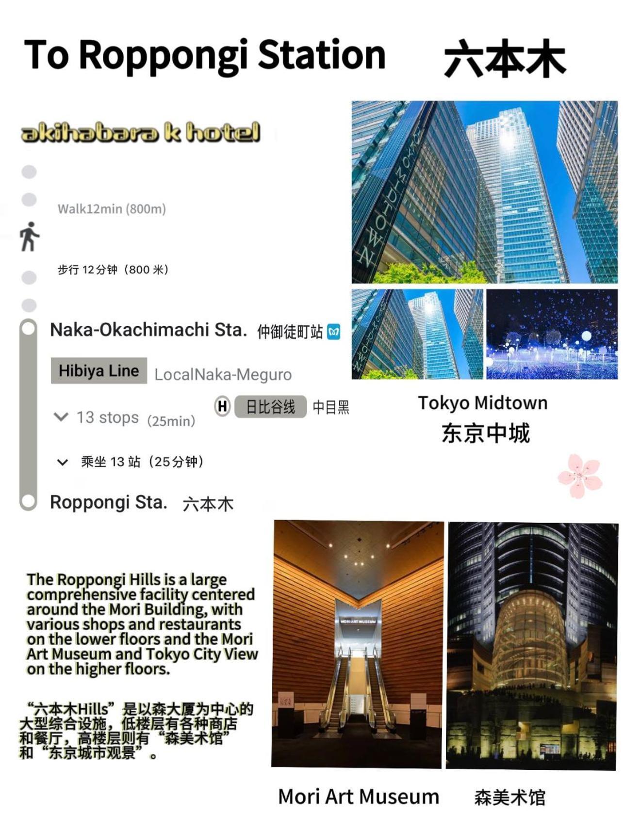 Akihabara K Apartamento *